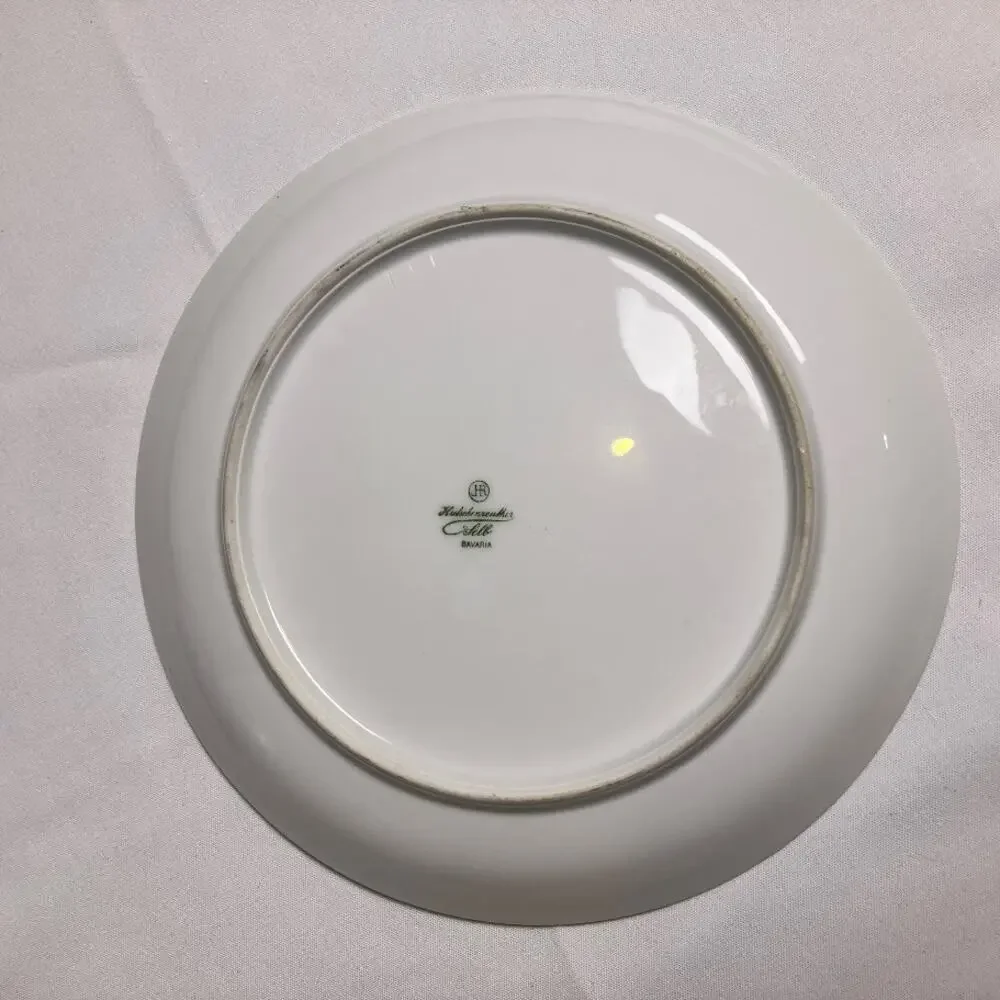 Antique Hutschenreuther Selb Bavaria Hand Painted Floral Porcelain Plate 9”